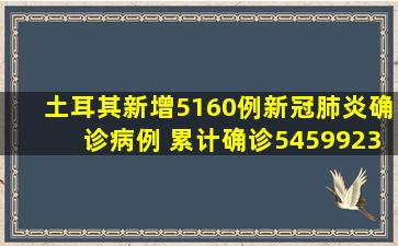 土耳其新增5160例新冠肺炎确诊病例 累计确诊5459923例